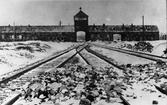 Międzynarodowy Dzień Pamięci o Ofiarach Holocaustu – przypominamy najczarniejszą kartę w historii świata
