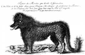 Bestia z Gévaudan – tajemniczy stwór, który w XVIII wieku zabijał ludzi we Francji